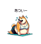 ヨガするふとっちょ柴犬（個別スタンプ：18）