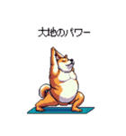 ヨガするふとっちょ柴犬（個別スタンプ：19）