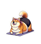 ヨガするふとっちょ柴犬（個別スタンプ：24）