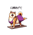 ヨガするふとっちょ柴犬（個別スタンプ：25）