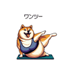 ヨガするふとっちょ柴犬（個別スタンプ：28）