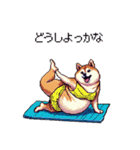 ヨガするふとっちょ柴犬（個別スタンプ：30）