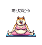 ヨガするふとっちょ柴犬（個別スタンプ：33）