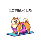 ヨガするふとっちょ柴犬（個別スタンプ：35）