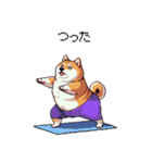 ヨガするふとっちょ柴犬（個別スタンプ：36）