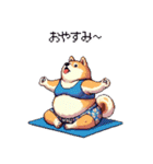 ヨガするふとっちょ柴犬（個別スタンプ：38）