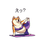 ヨガするふとっちょ柴犬（個別スタンプ：39）