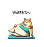 ヨガするふとっちょ柴犬（個別スタンプ：40）