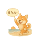 夏の柴犬スタンプ♪ふんわり水彩風（個別スタンプ：2）