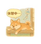 夏の柴犬スタンプ♪ふんわり水彩風（個別スタンプ：7）