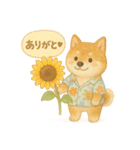 夏の柴犬スタンプ♪ふんわり水彩風（個別スタンプ：15）
