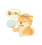 夏の柴犬スタンプ♪ふんわり水彩風（個別スタンプ：16）