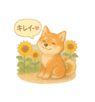 夏の柴犬スタンプ♪ふんわり水彩風（個別スタンプ：20）
