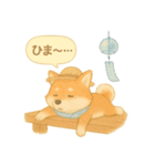 夏の柴犬スタンプ♪ふんわり水彩風（個別スタンプ：23）