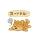 夏の柴犬スタンプ♪ふんわり水彩風（個別スタンプ：25）