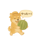 夏の柴犬スタンプ♪ふんわり水彩風（個別スタンプ：31）