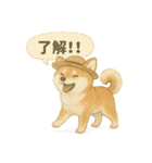 夏の柴犬スタンプ♪ふんわり水彩風（個別スタンプ：32）