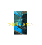 れむプリと日常会話（個別スタンプ：2）
