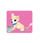チワワちゃん あいさつ（個別スタンプ：2）