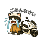 スクーターに乗る猫の日常会話（個別スタンプ：12）