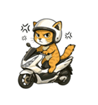 スクーターに乗る猫の日常会話（個別スタンプ：13）