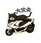 スクーターに乗る猫の日常会話（個別スタンプ：16）