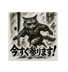 モノクロメインクーン（個別スタンプ：9）