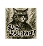 モノクロメインクーン（個別スタンプ：30）