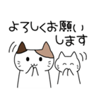 毎日送りやすいネコのスタンプ（個別スタンプ：2）