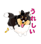 わくわくシェルティ・元気なトライ（個別スタンプ：3）