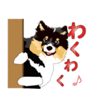 わくわくシェルティ・元気なトライ（個別スタンプ：8）