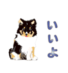 わくわくシェルティ・元気なトライ（個別スタンプ：16）