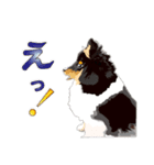 わくわくシェルティ・元気なトライ（個別スタンプ：20）
