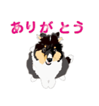 わくわくシェルティ・元気なトライ（個別スタンプ：23）