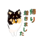 わくわくシェルティ・元気なトライ（個別スタンプ：29）