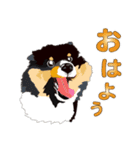 わくわくシェルティ・元気なトライ（個別スタンプ：35）