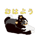 わくわくシェルティ・元気なトライ（個別スタンプ：36）