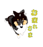 わくわくシェルティ・元気なトライ（個別スタンプ：38）