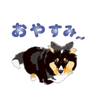 わくわくシェルティ・元気なトライ（個別スタンプ：39）