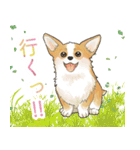 大好き癒しのわんちゃんスタンプ（個別スタンプ：3）