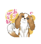 大好き癒しのわんちゃんスタンプ（個別スタンプ：5）