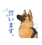 大好き癒しのわんちゃんスタンプ（個別スタンプ：10）