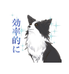 大好き癒しのわんちゃんスタンプ（個別スタンプ：11）