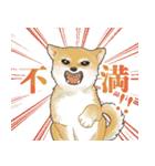 大好き癒しのわんちゃんスタンプ（個別スタンプ：15）