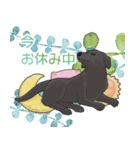 大好き癒しのわんちゃんスタンプ（個別スタンプ：16）
