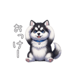 溺愛するマラミュート日常(白文字)（個別スタンプ：4）