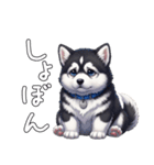溺愛するマラミュート日常(白文字)（個別スタンプ：10）