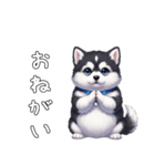 溺愛するマラミュート日常(白文字)（個別スタンプ：15）