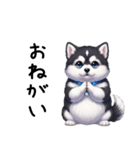 溺愛するマラミュート日常(黒文字)（個別スタンプ：11）