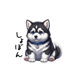 溺愛するマラミュート日常(黒文字)（個別スタンプ：12）